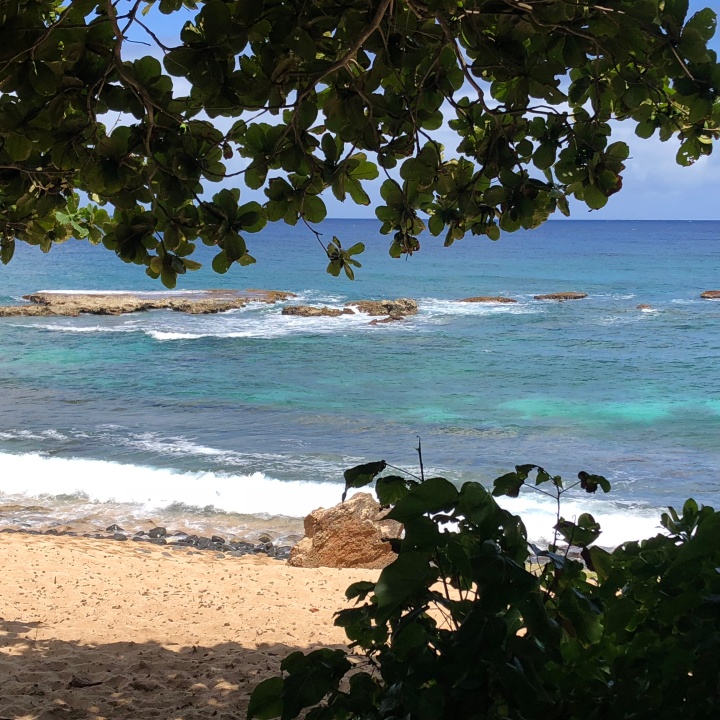 10 Oahu Beaches You Must Enjoy | Sprinkle and a Dash | Three Tables Beach Oahu 2